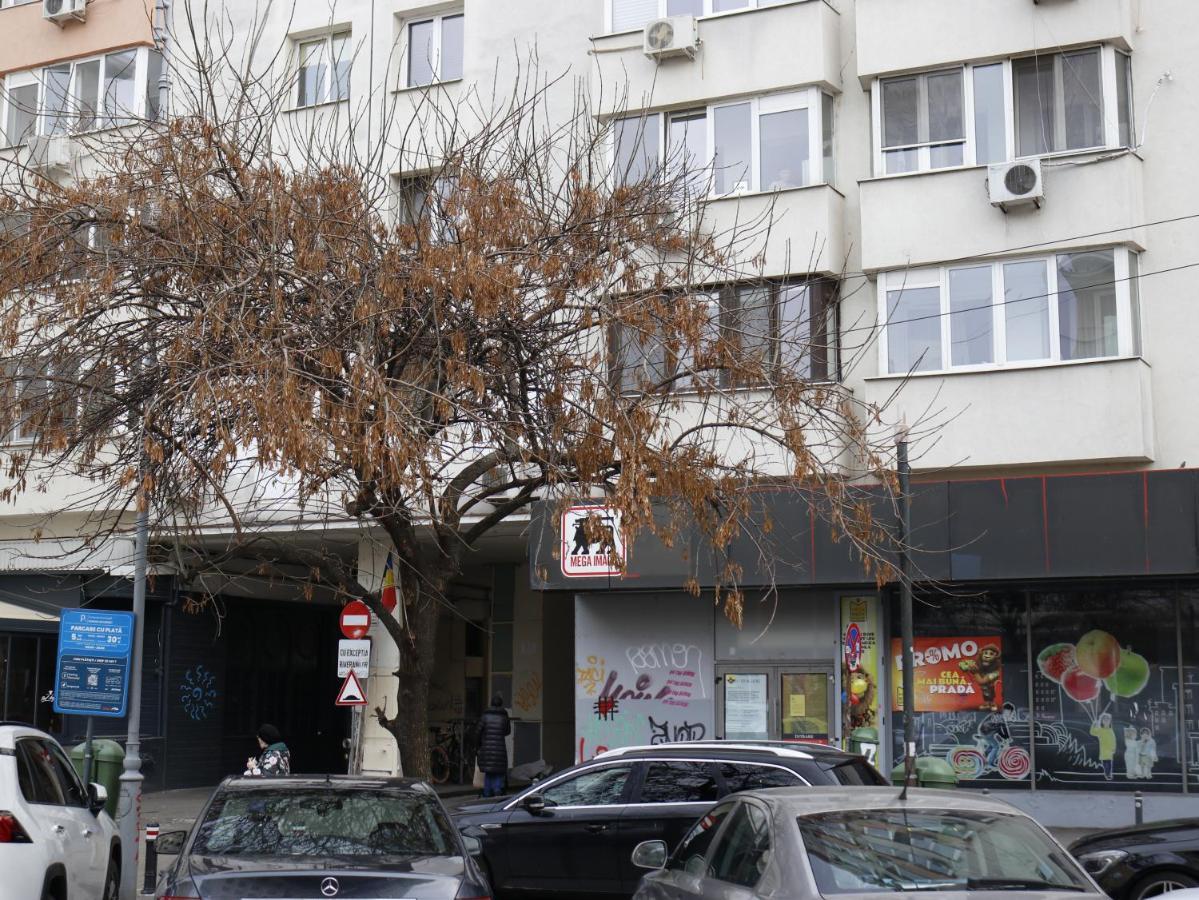 Mina City Center Apartment Amzei Bukarest Exterior foto